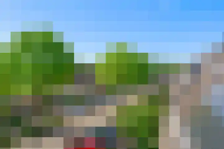 Lutulistate 46 Ede thumbnail 50