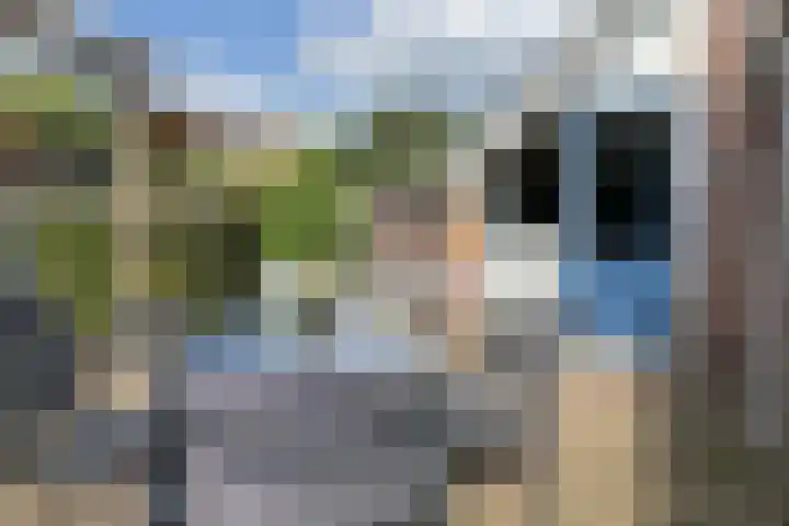 Luunkamp 7 Dalen thumbnail 10