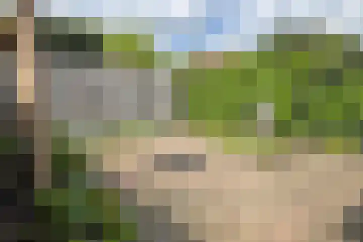 Luunkamp 7 Dalen thumbnail 11