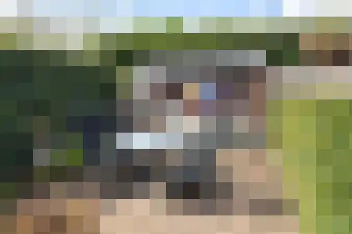 Luunkamp 7 Dalen thumbnail 12