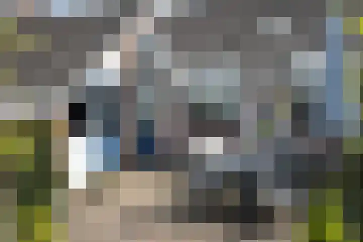 Luunkamp 7 Dalen thumbnail 13