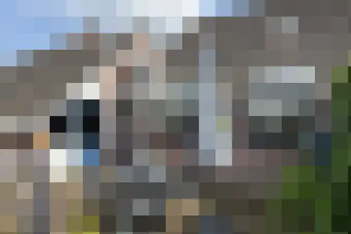 Luunkamp 7 Dalen thumbnail 14