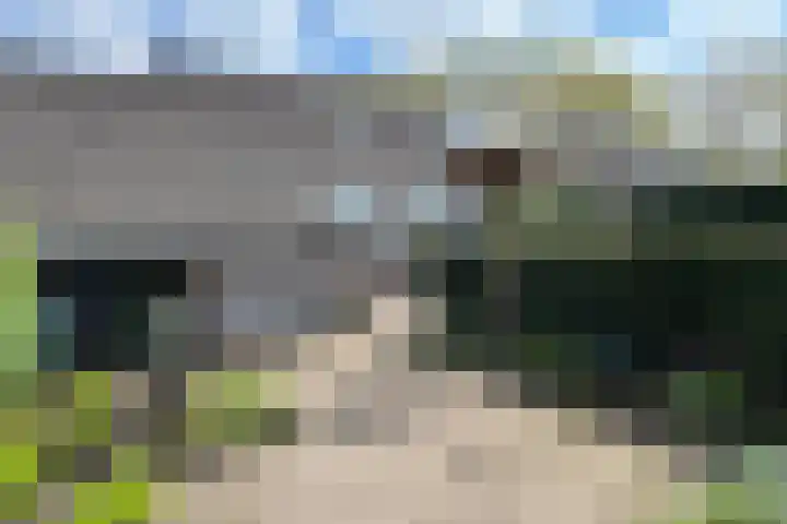 Luunkamp 7 Dalen thumbnail 15