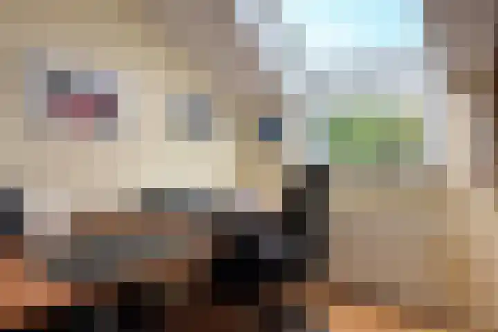 Luunkamp 7 Dalen thumbnail 4