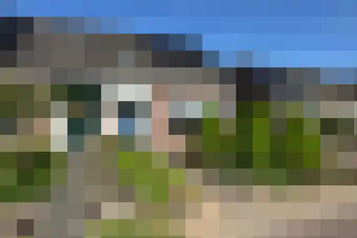 Luunkamp 7 Dalen thumbnail 6