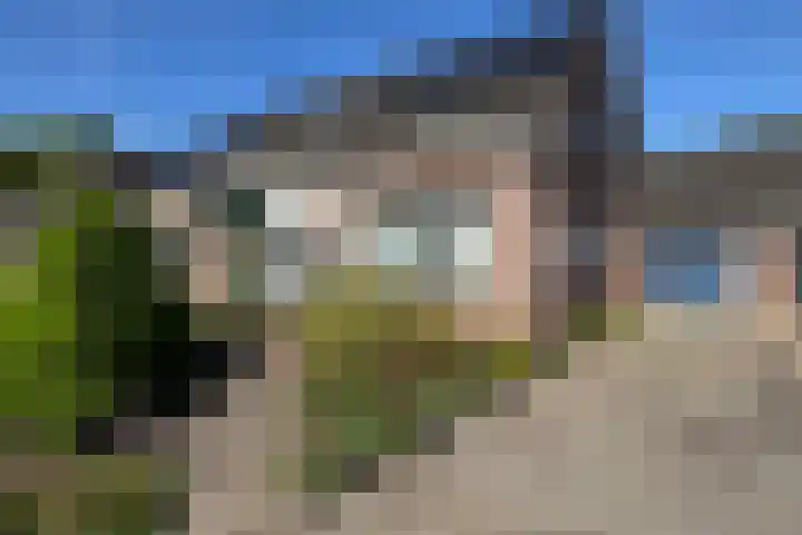 Luunkamp 7 Dalen thumbnail 7