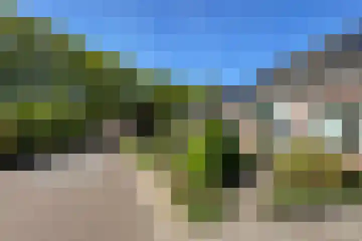 Luunkamp 7 Dalen thumbnail 8