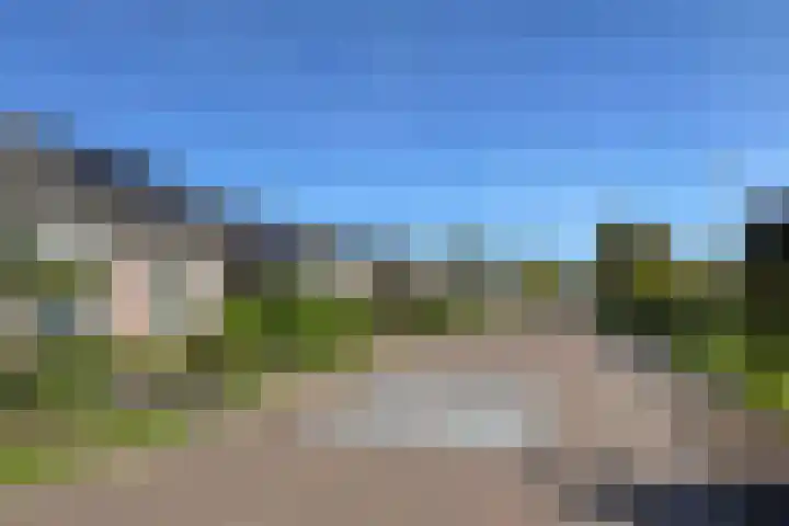 Luunkamp 7 Dalen thumbnail 9