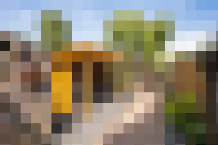 Luzacware 26 Zwolle thumbnail 25