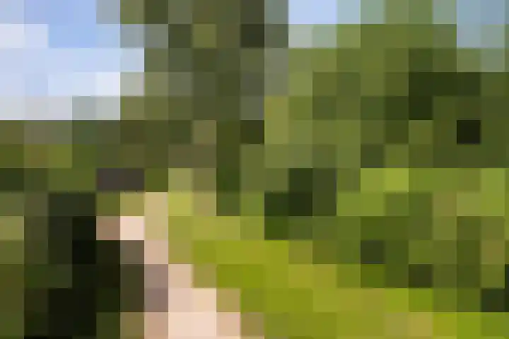 Luzacware 26 Zwolle thumbnail 29