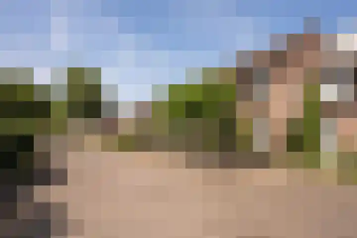 Luzacware 26 Zwolle thumbnail 31