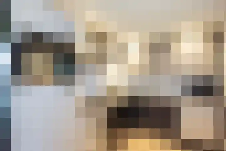 Luzacware 26 Zwolle thumbnail 8