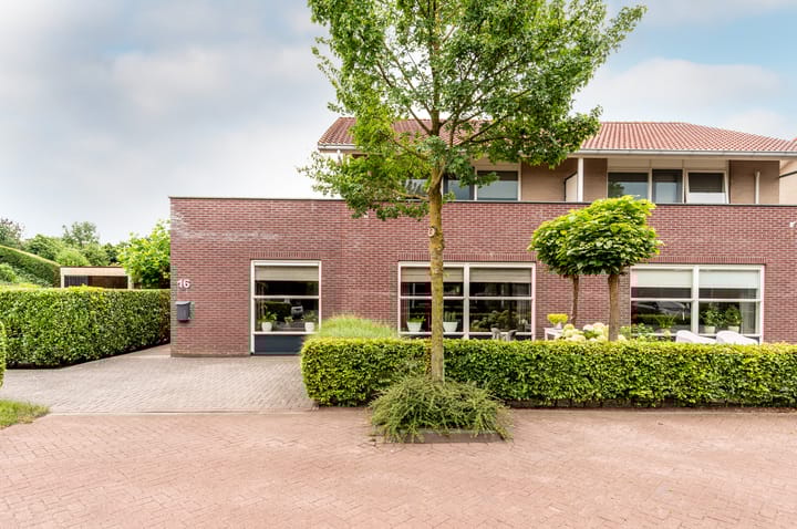 Luzerne 16 in Elburg foto