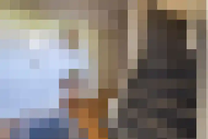 Lyceumlaan 14 Zeist thumbnail 18