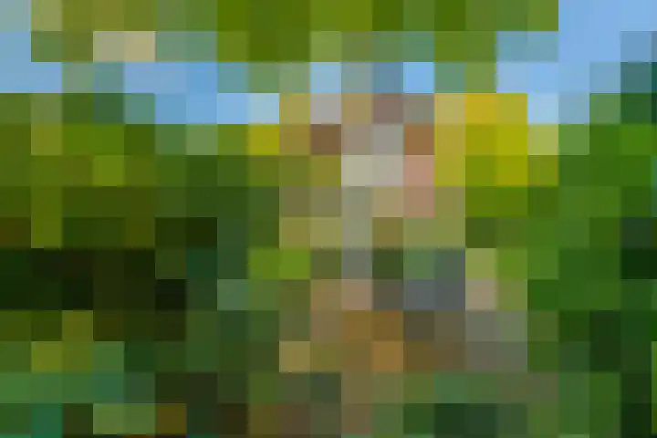 Lyceumlaan 14 Zeist thumbnail 34