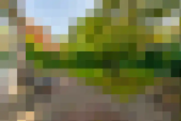 Lyceumlaan 14 Zeist thumbnail 36