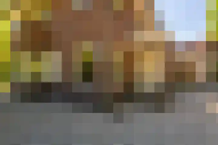 Lyceumlaan 14 Zeist thumbnail 39
