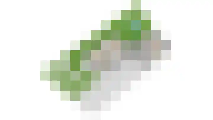 Lyceumlaan 14 Zeist thumbnail 46