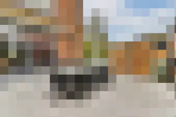 Lyceumlaan 2 Vlaardingen thumbnail 23