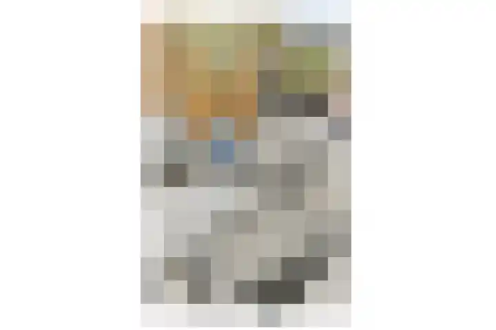 Lyceumlaan 2 Vlaardingen thumbnail 25