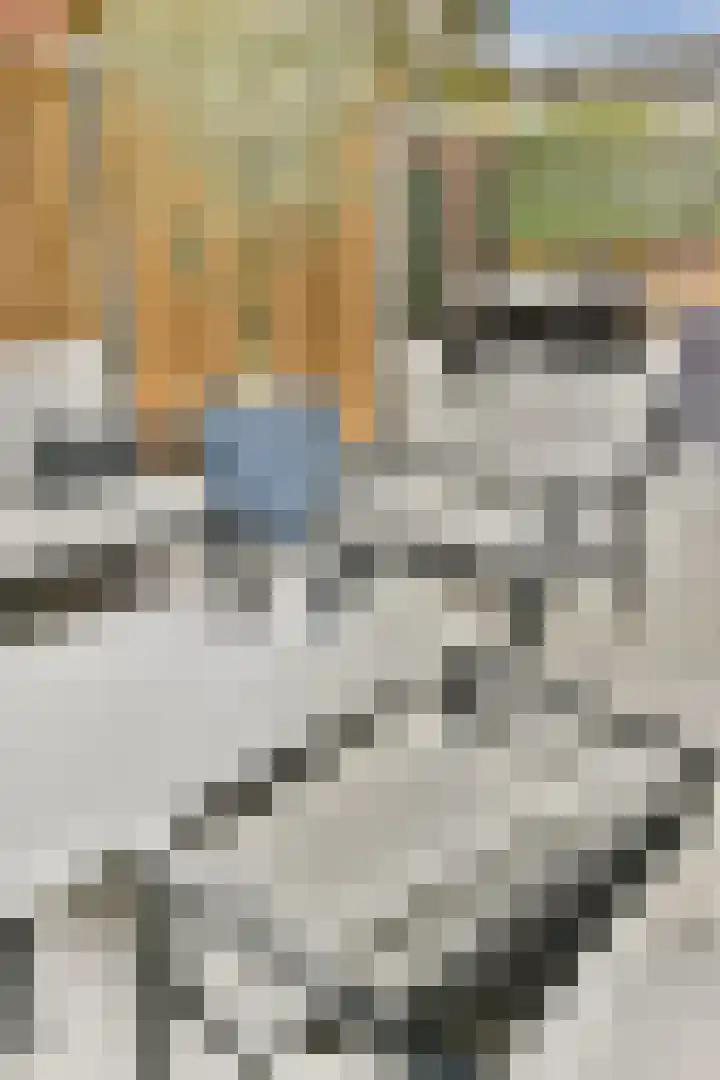 Lyceumlaan 2 Vlaardingen thumbnail 26