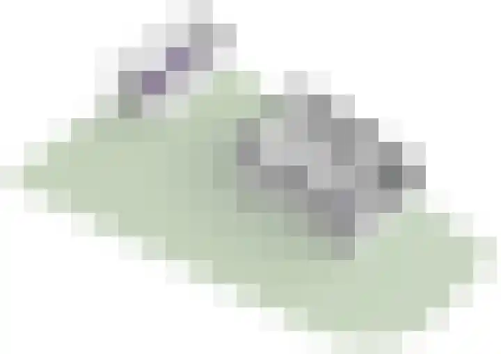 Lyceumlaan 2 Vlaardingen thumbnail 42