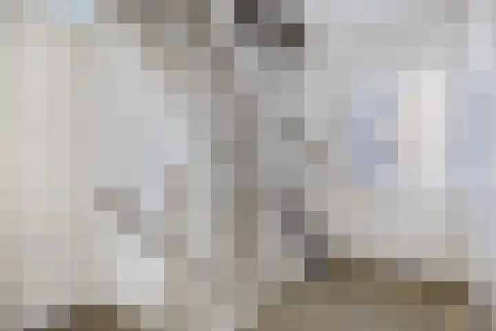 Lycklamaweg 45 C Wolvega thumbnail 17