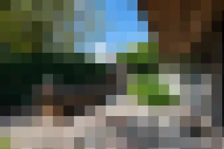 Lycklamaweg 76 Wolvega thumbnail 34
