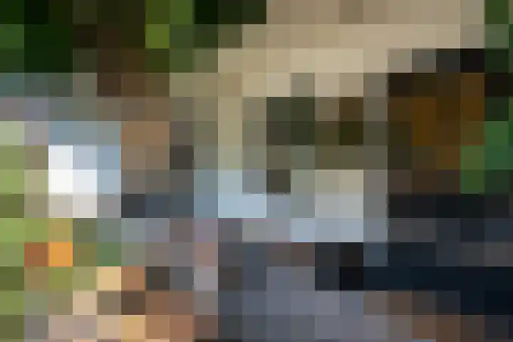 Lycklamaweg 76 Wolvega thumbnail 36
