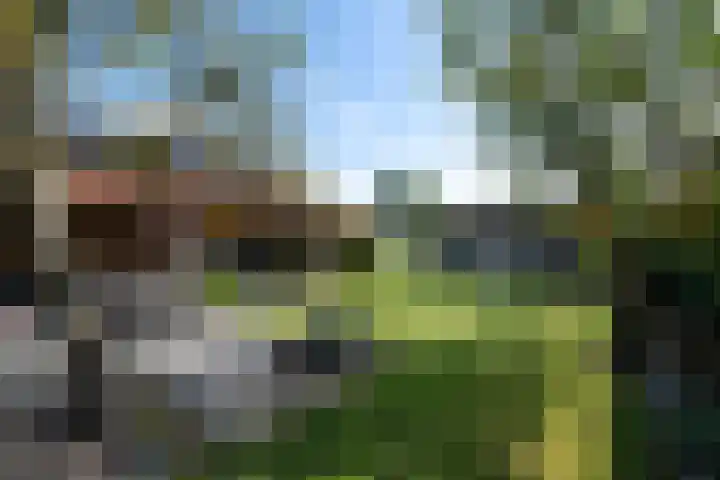 Lycklamaweg 76 Wolvega thumbnail 37