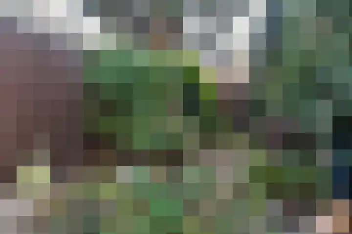 Lynssenstraat 24 Venlo thumbnail 33