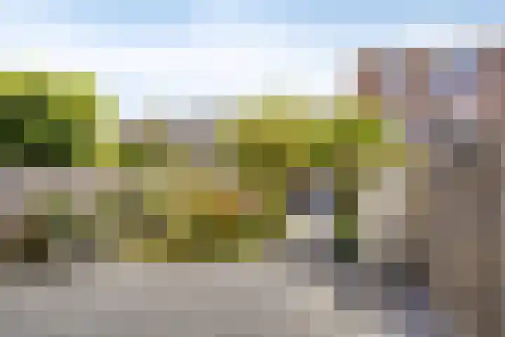 Lyonhof 27 Eindhoven thumbnail 23