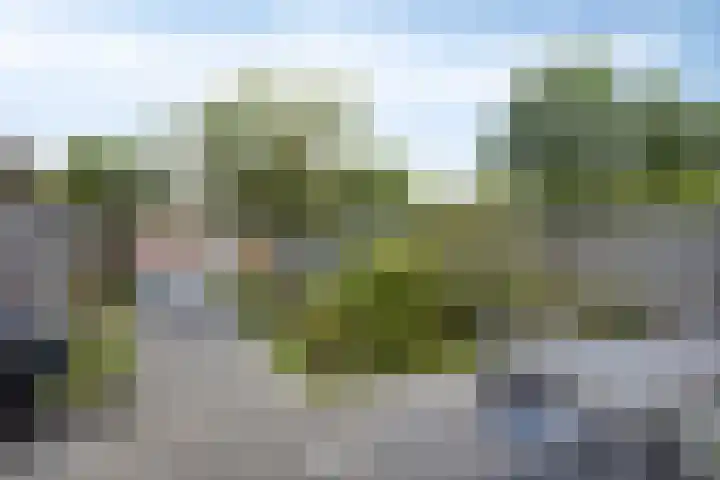 Lyonhof 27 Eindhoven thumbnail 25
