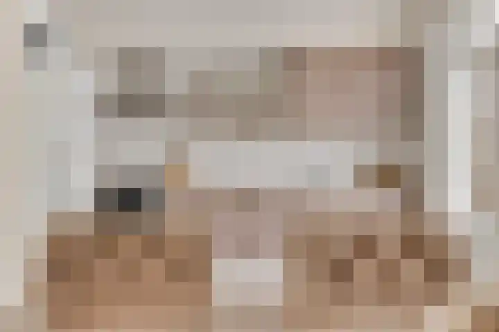 Lyonhof 43 Eindhoven thumbnail 12