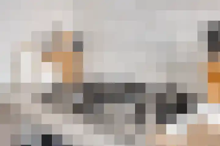 Lyonhof 43 Eindhoven thumbnail 17