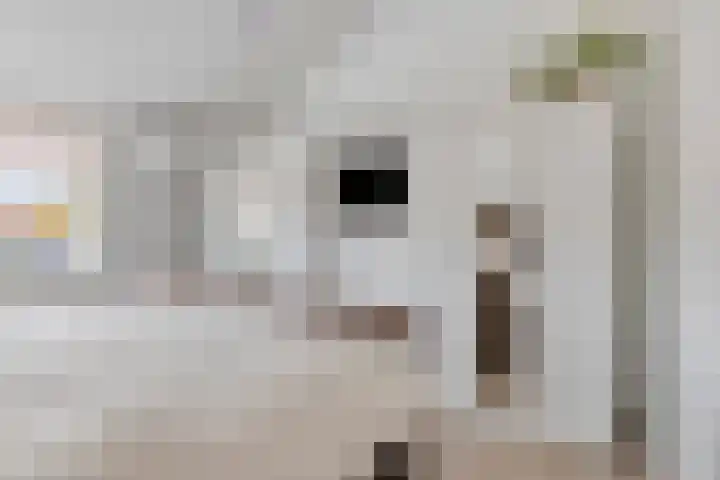 Lyonhof 43 Eindhoven thumbnail 19