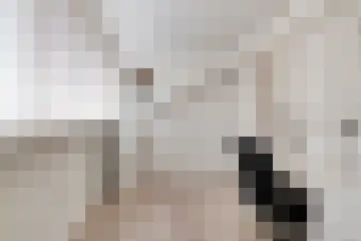Lyonhof 43 Eindhoven thumbnail 25