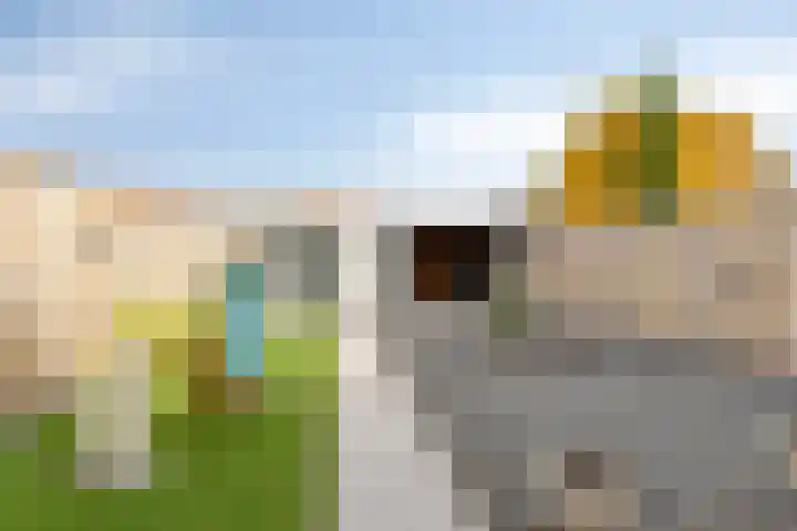 Lyonhof 43 Eindhoven thumbnail 26