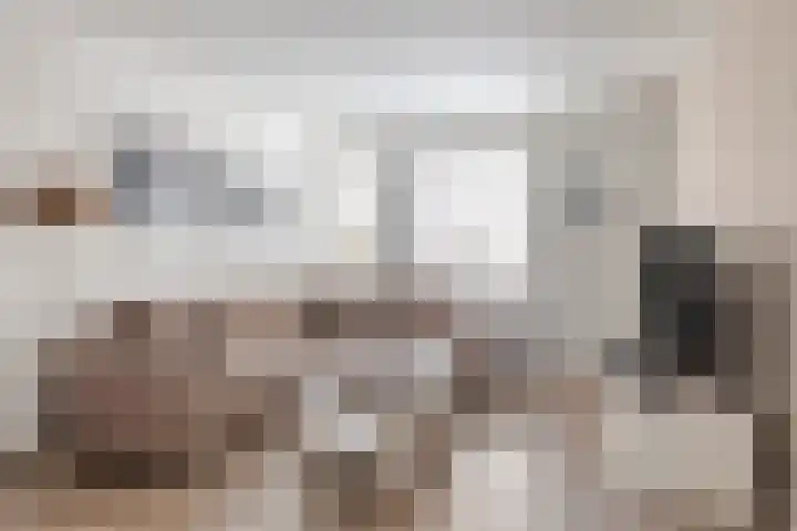 Lyonhof 43 Eindhoven thumbnail 8