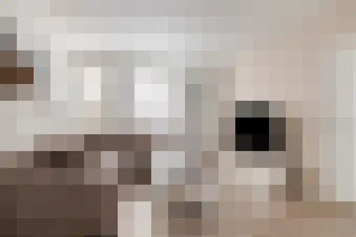 Lyonhof 43 Eindhoven thumbnail 9