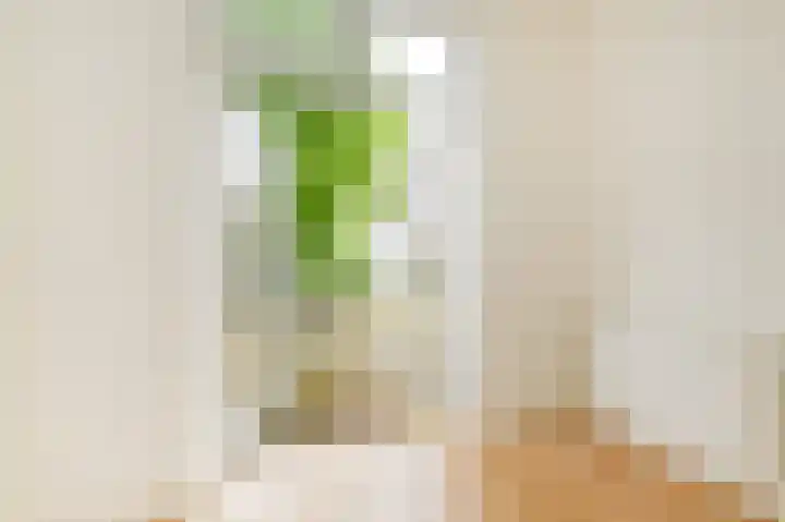 Lyonnetstraat 15 Den Haag thumbnail 6