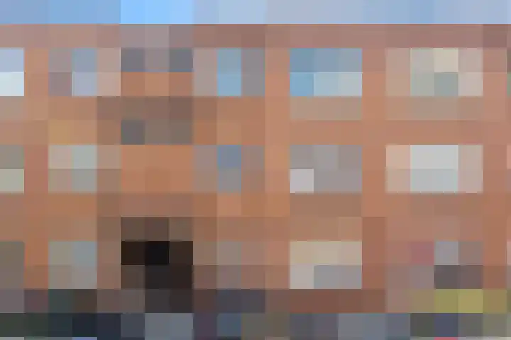 Lyonnetstraat 21 Den Haag thumbnail 5