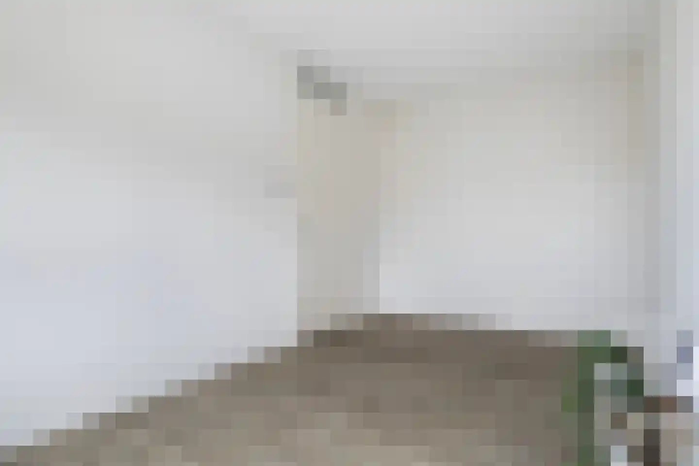 Lysterbeipaad 5 Stiens thumbnail 17