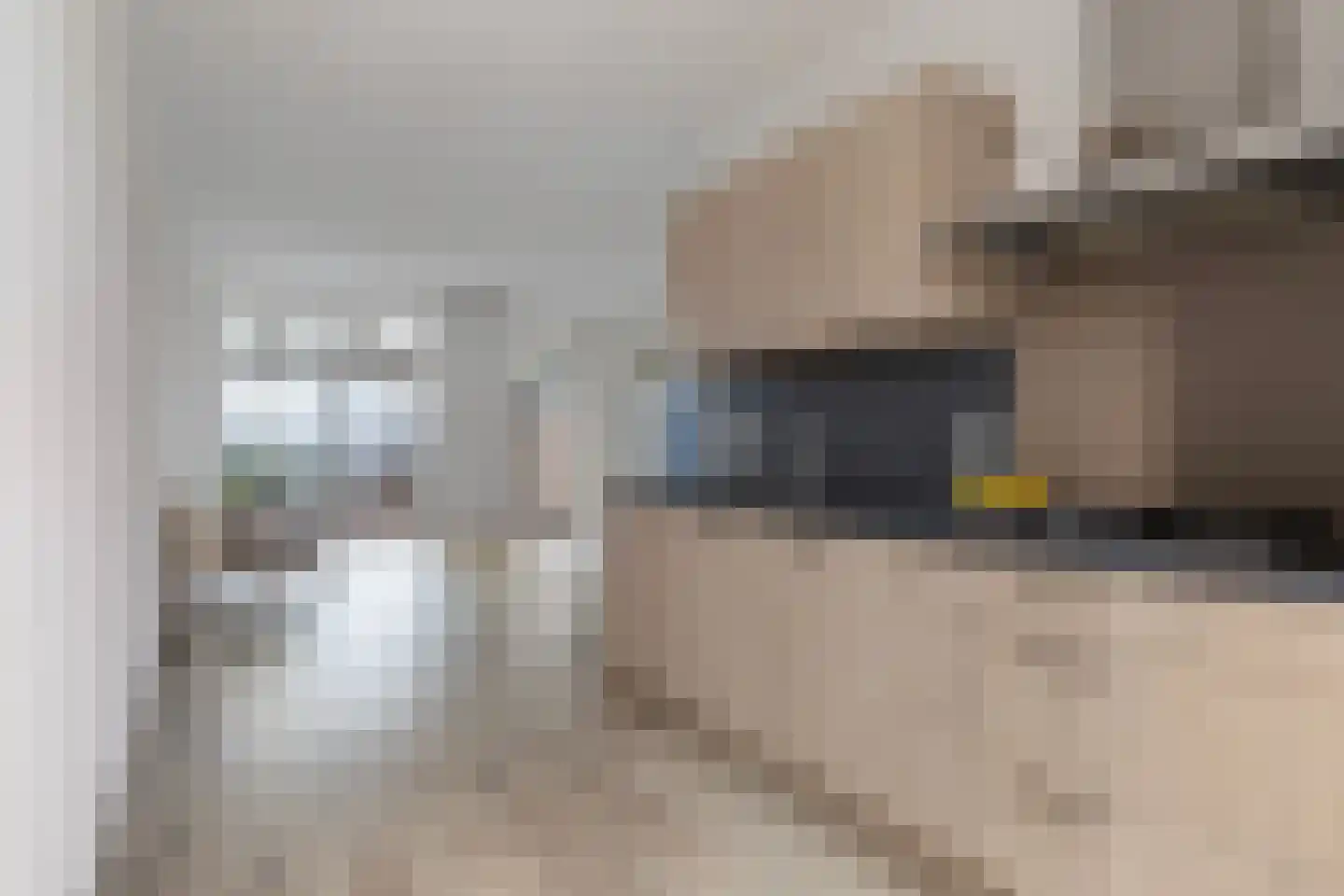 Lysterbeipaad 5 Stiens thumbnail 8