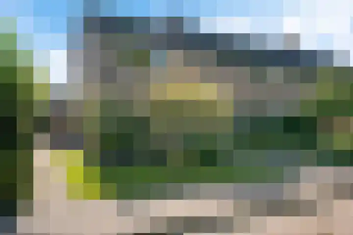 Lytse Leane 9 en Frieschepalen