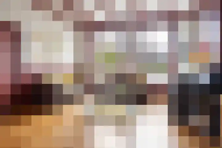 Lytsedyk 26 Menaam thumbnail 11