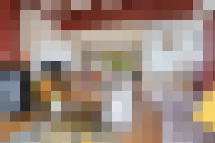 Lytsedyk 26 Menaam thumbnail 12