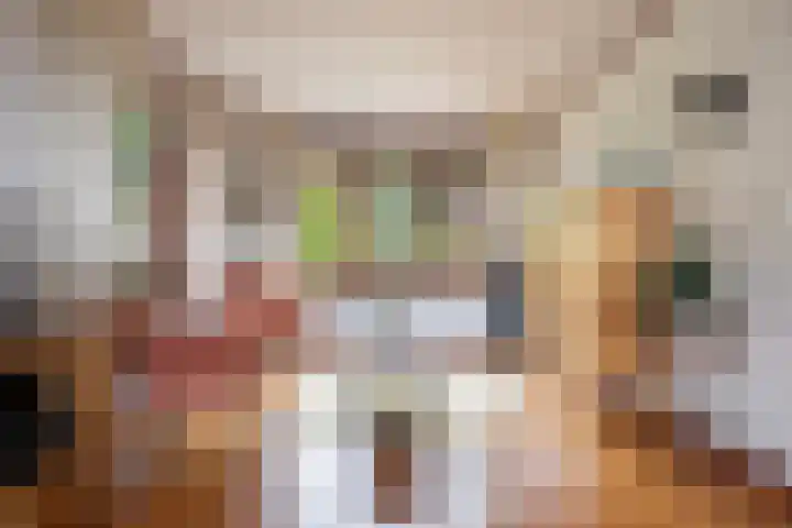 Lytsedyk 26 Menaam thumbnail 15