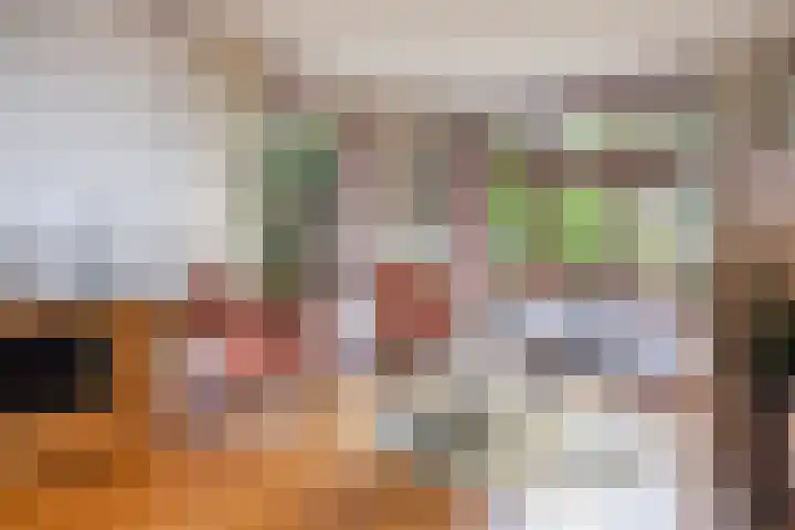 Lytsedyk 26 Menaam thumbnail 16