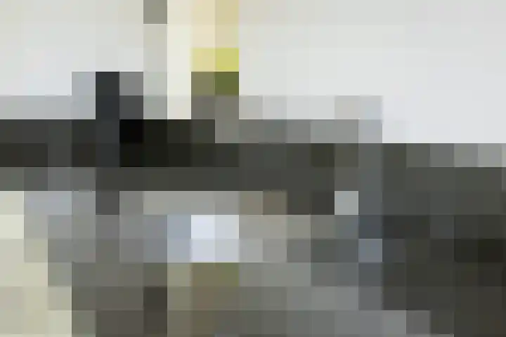 Lytsedyk 26 Menaam thumbnail 25